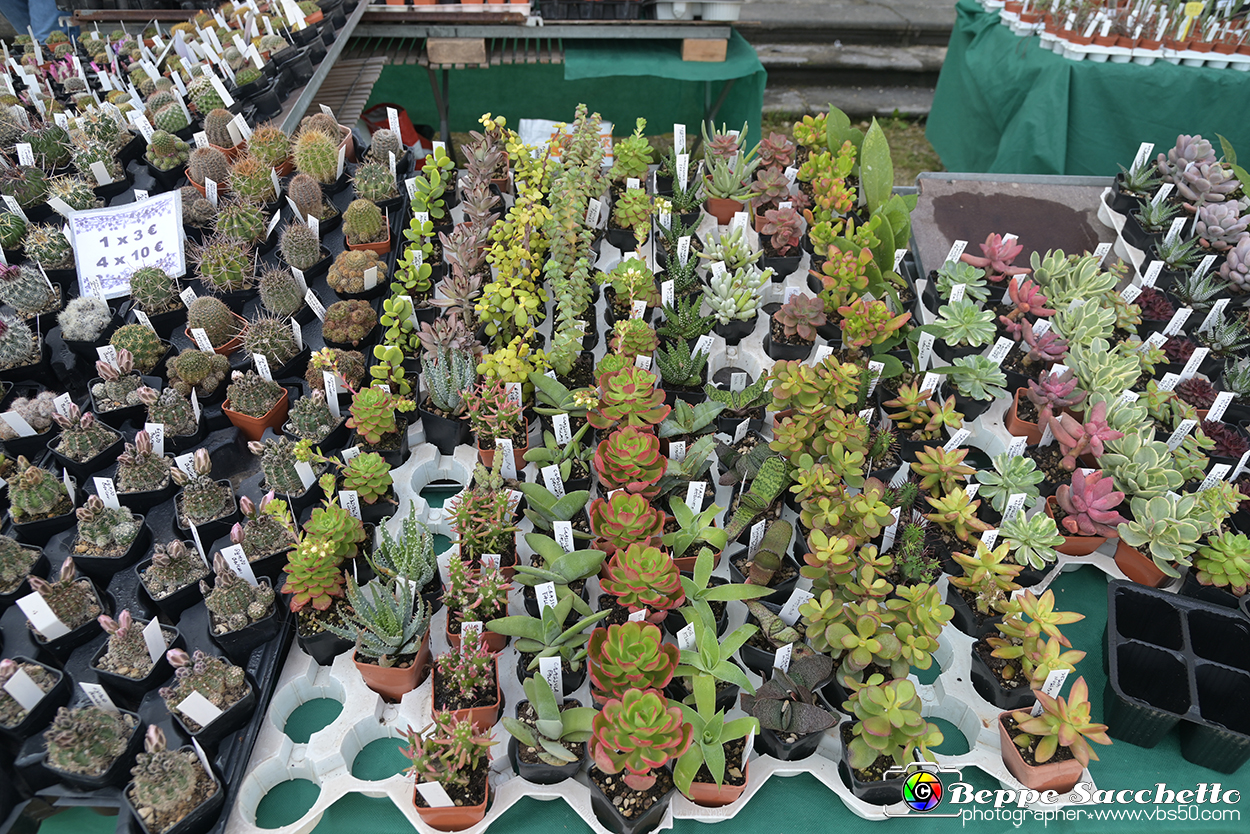 VBS_8998 - Mostra Mercato FloReal 2024.jpg